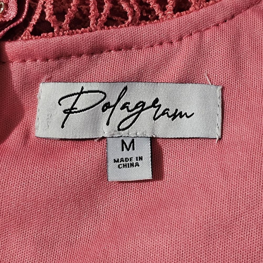 Polagram - Dress Lace Long Sleeve Knee Length Midi Flare - Size M - Blush Pink - Picture 7 of 9